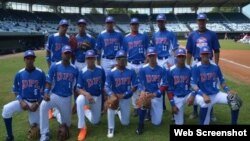 Peloteros de la Liga Dominicana de Talentos (DPL).