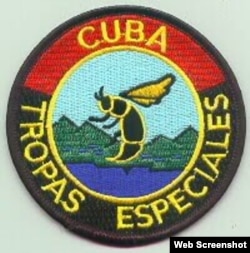 Insignia de las Tropas Especiales conocidas como Avispas Negras